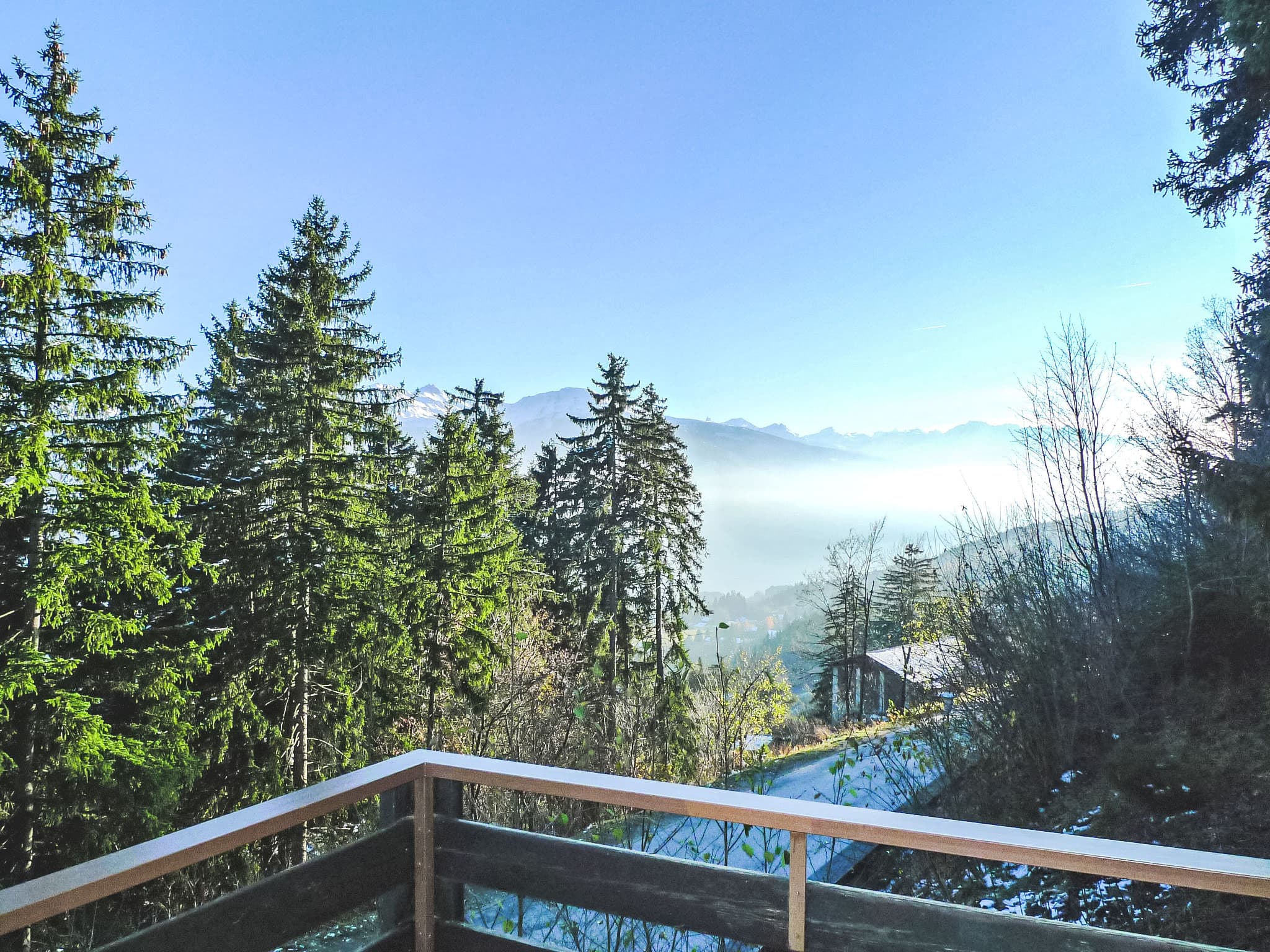 View