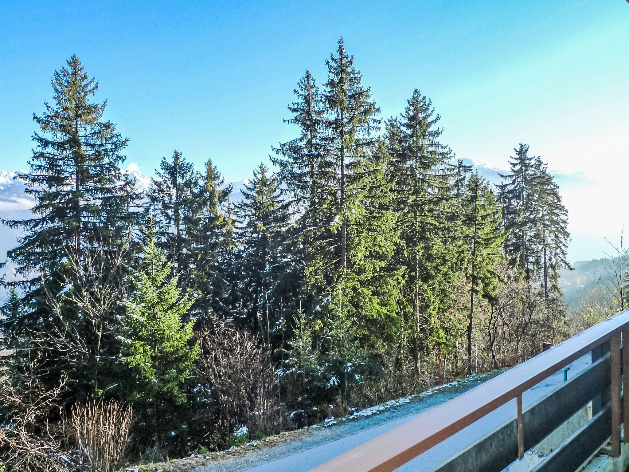 View