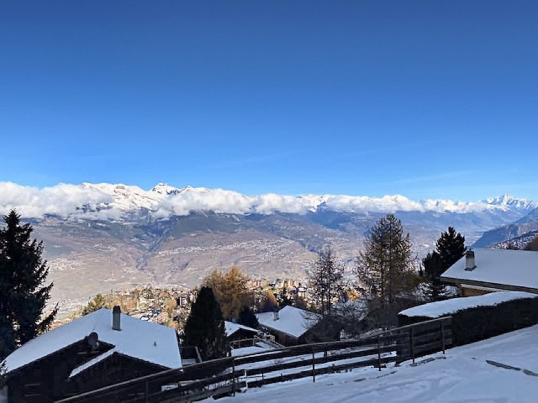 View
