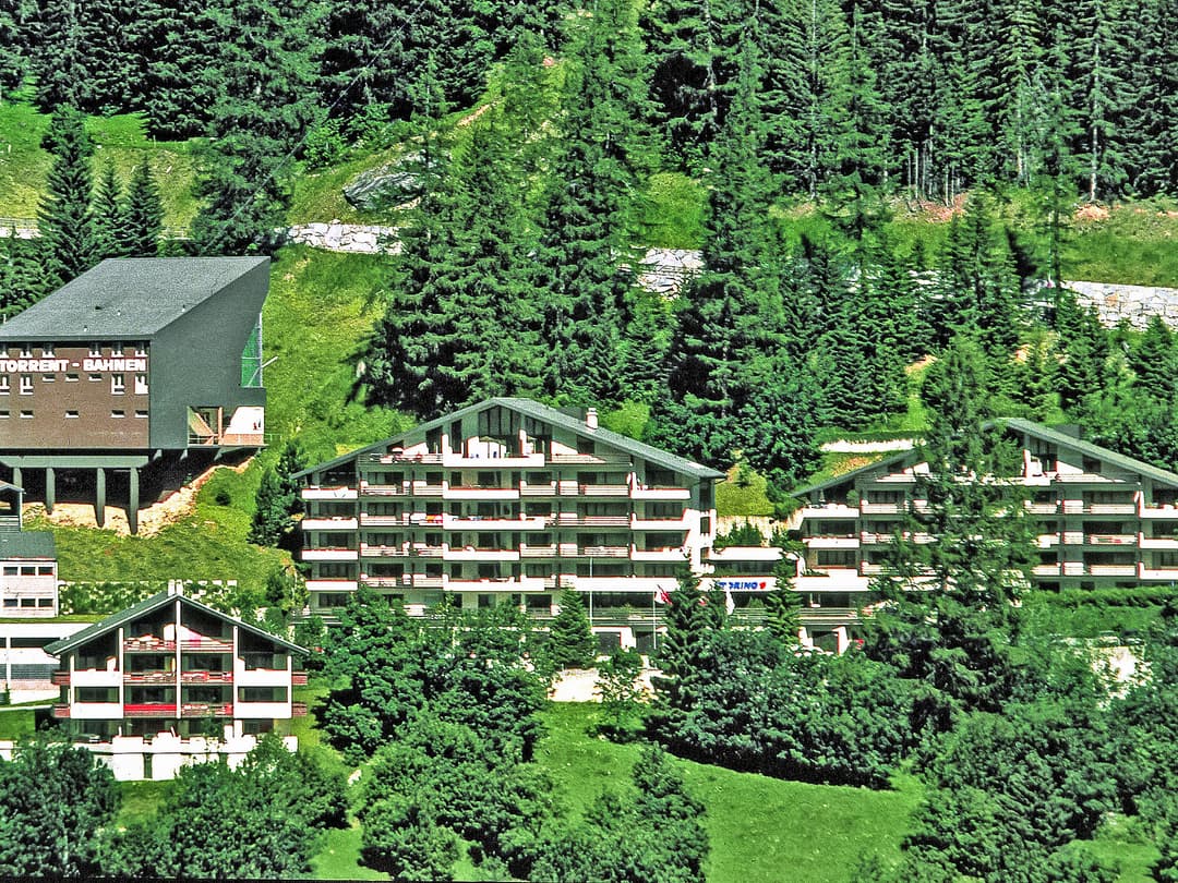 Large Image