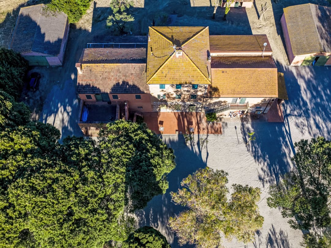 Large Image