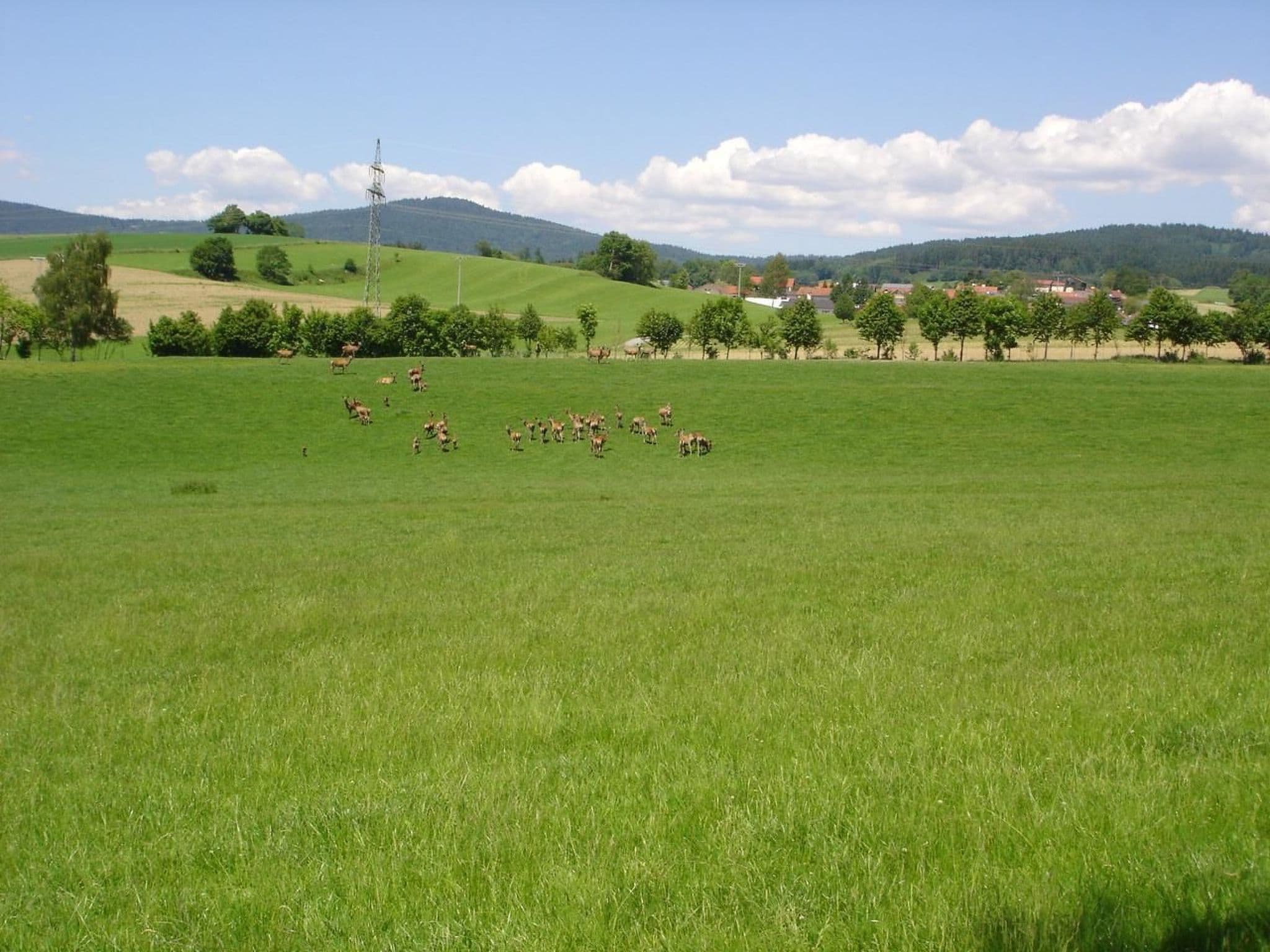 Gallery Image 28