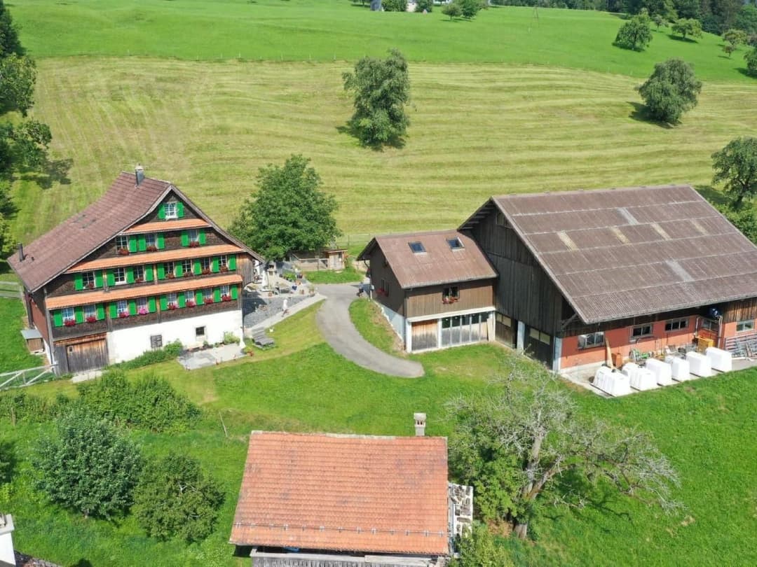 Large Image