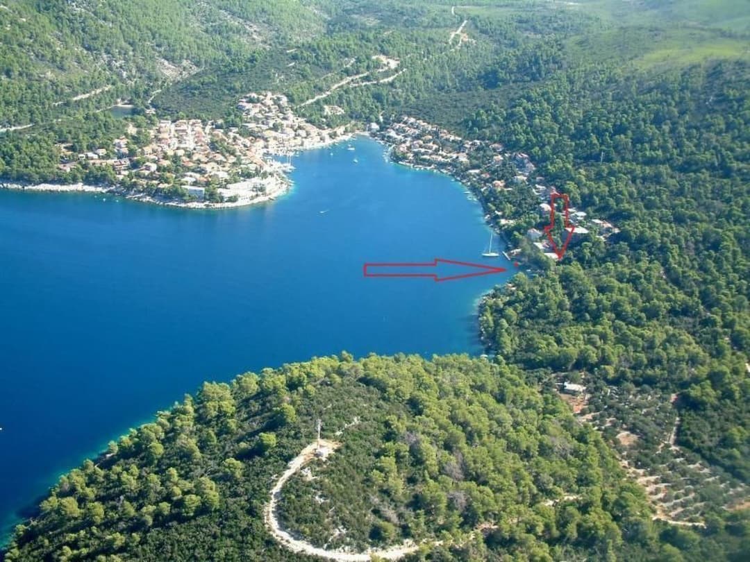 Large Image