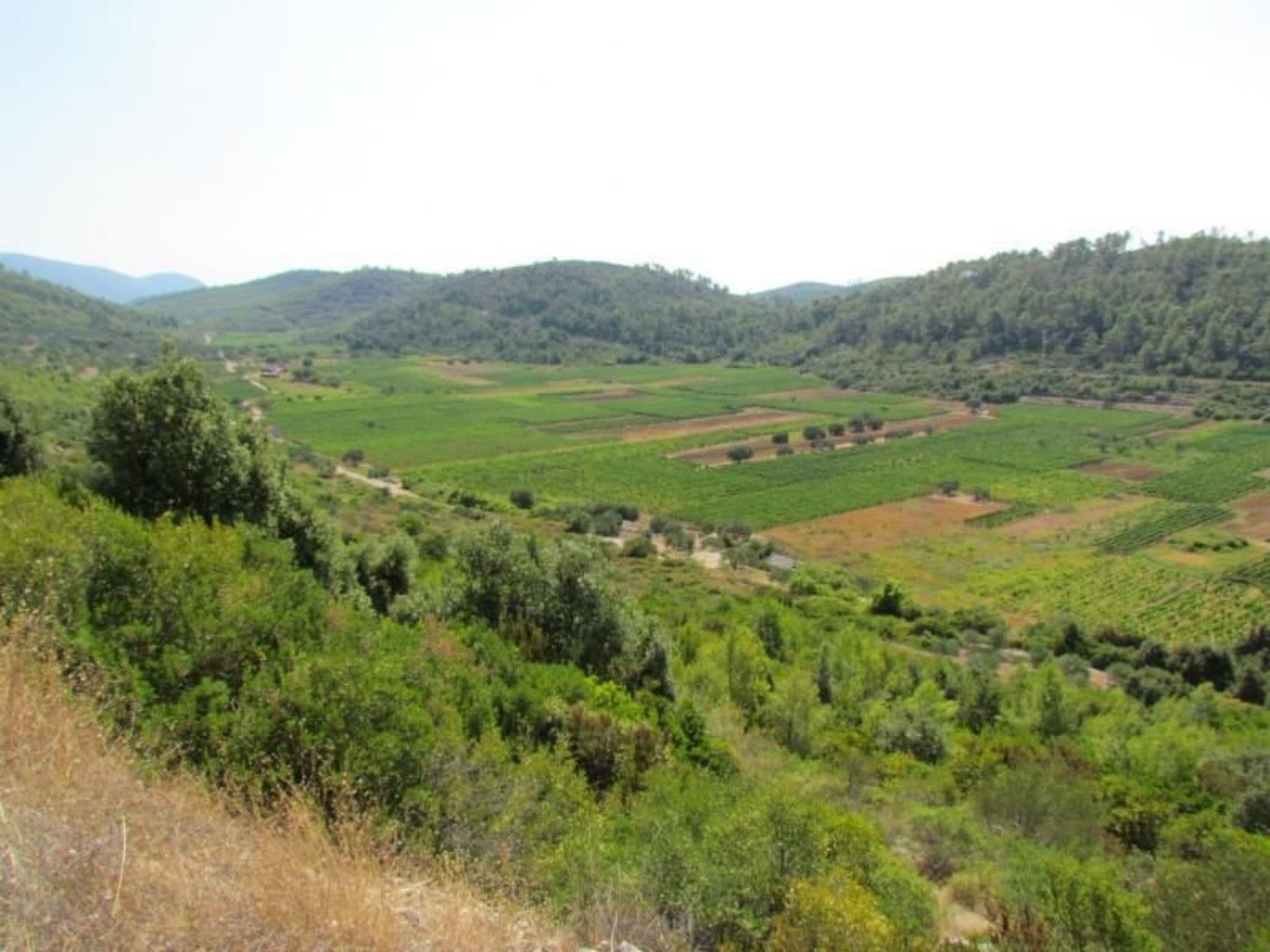 View