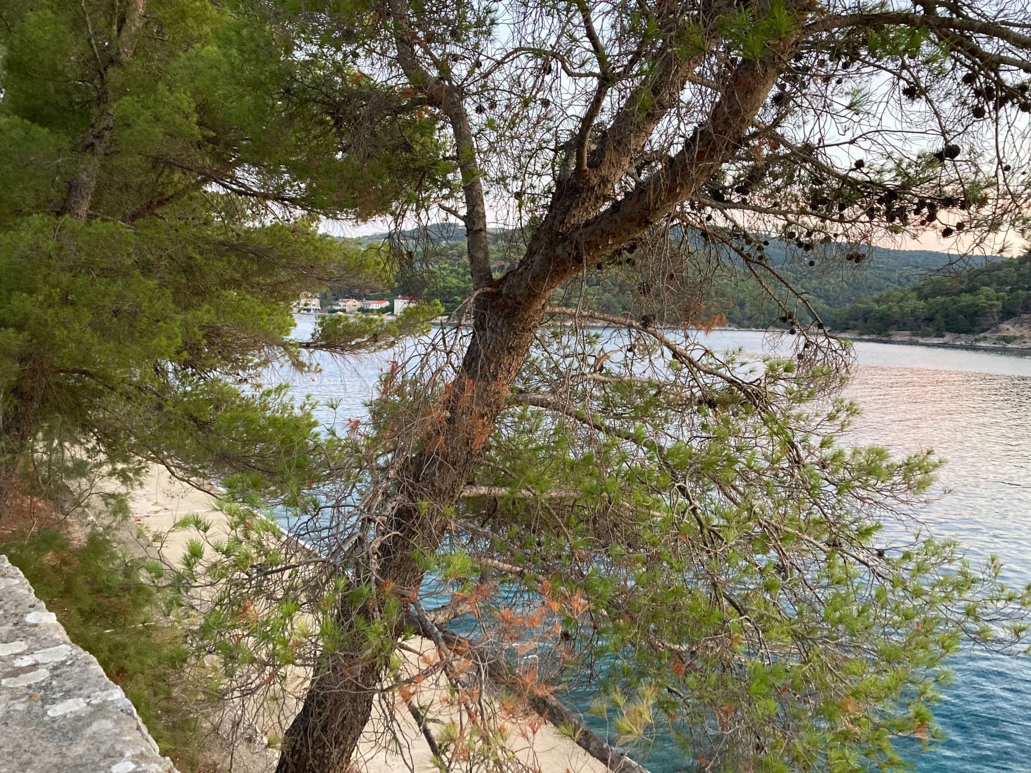 View
