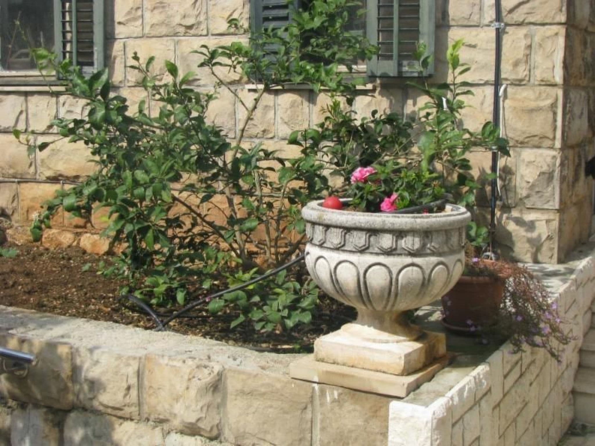 Gallery Image 11
