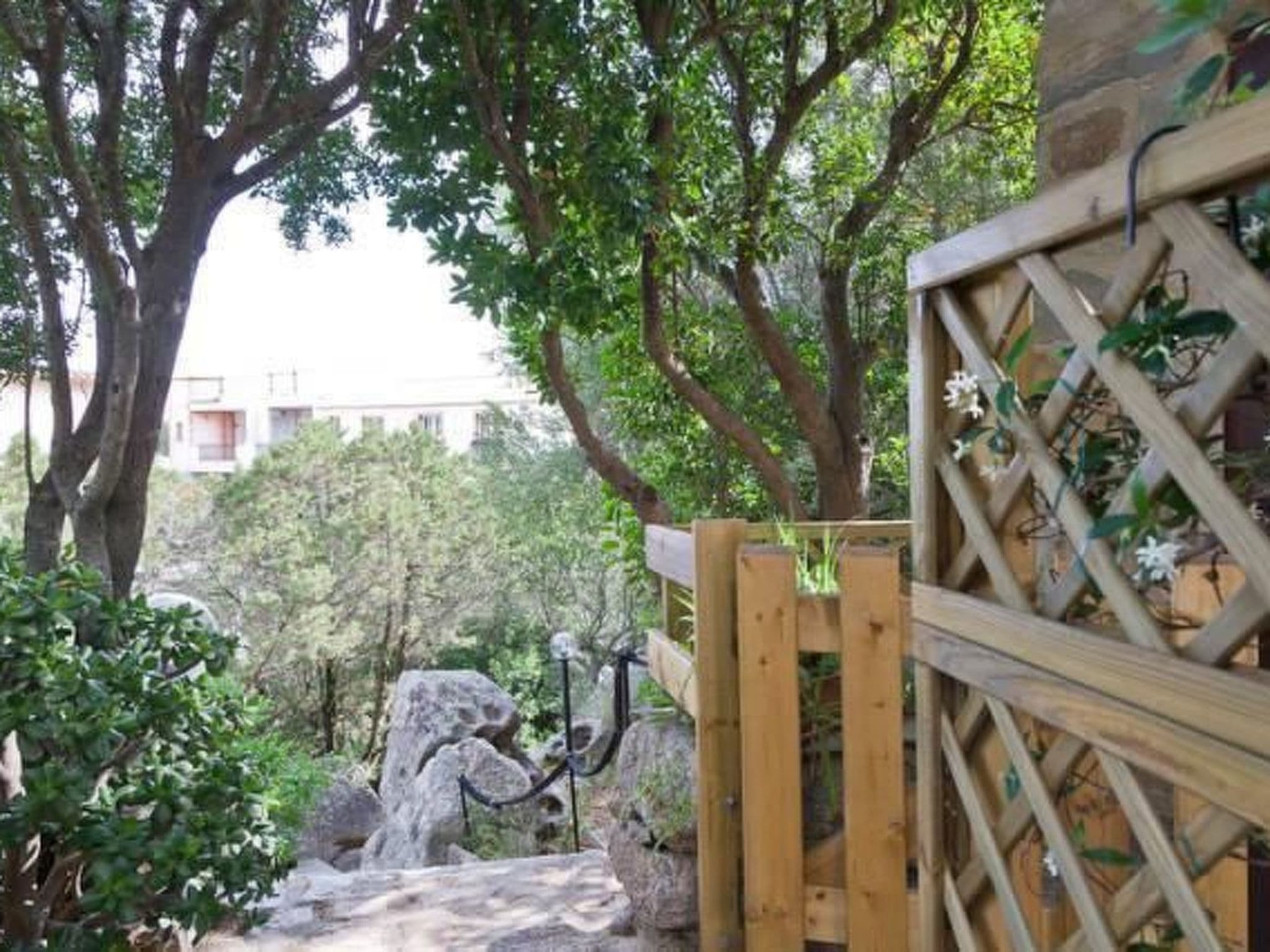 Gallery Image 13