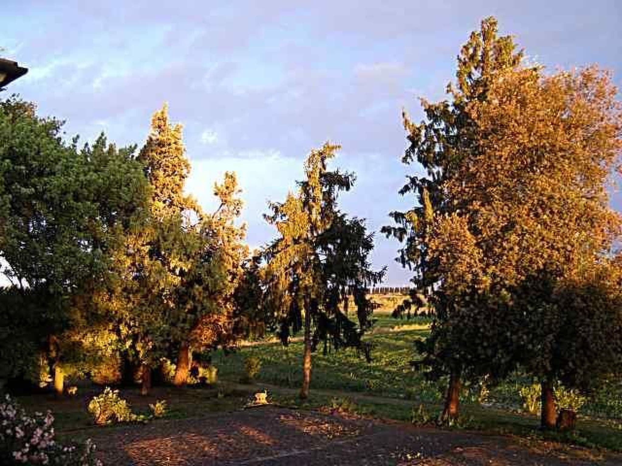 Gallery Image 14