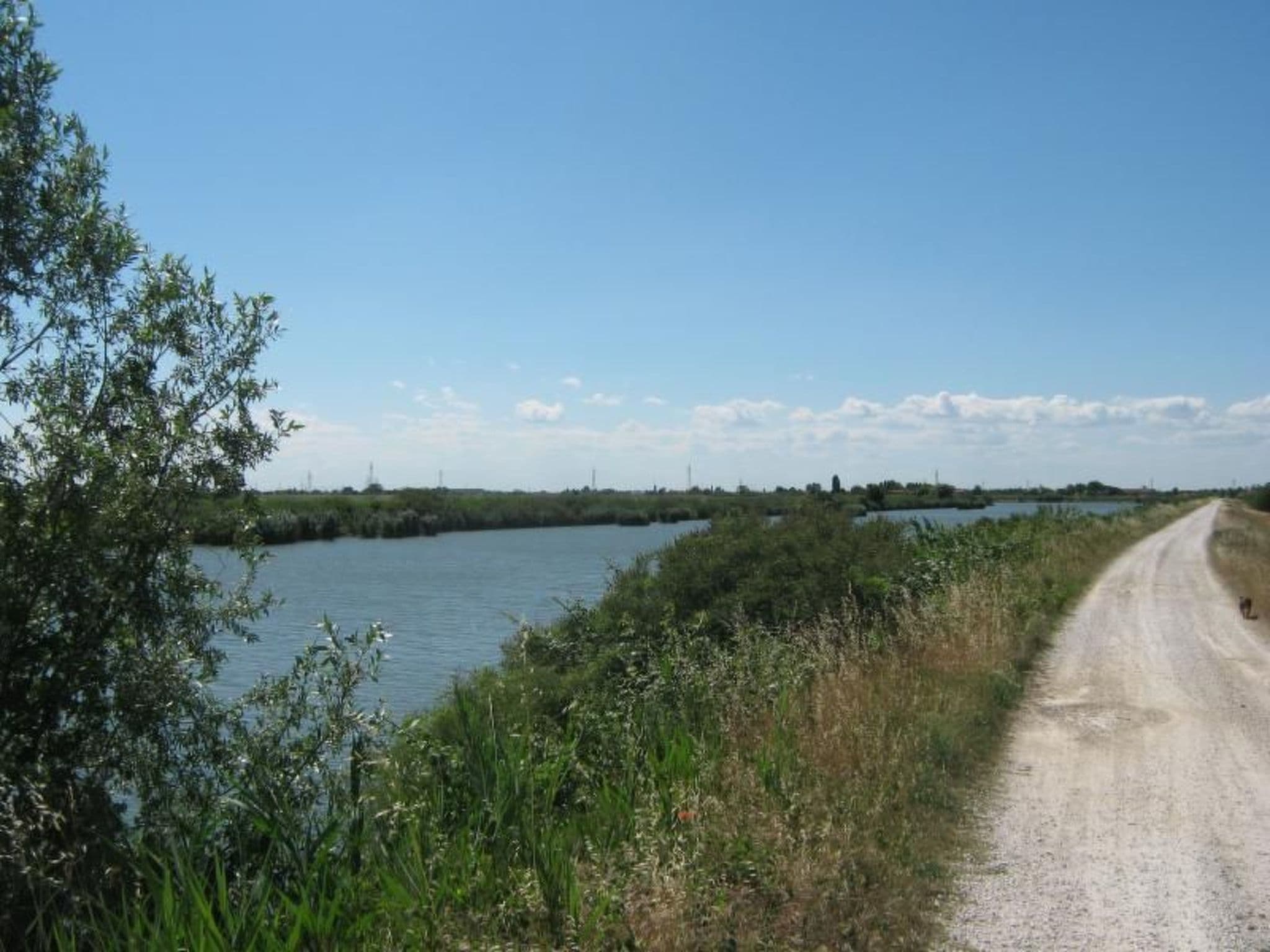 Gallery Image 18