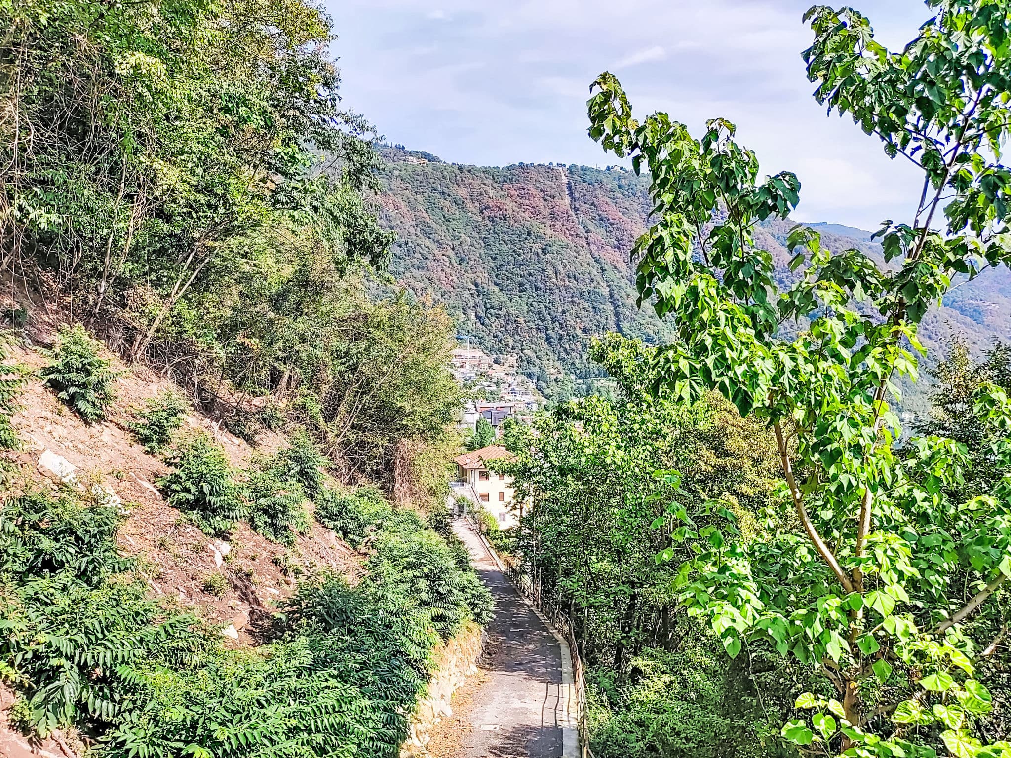 View
