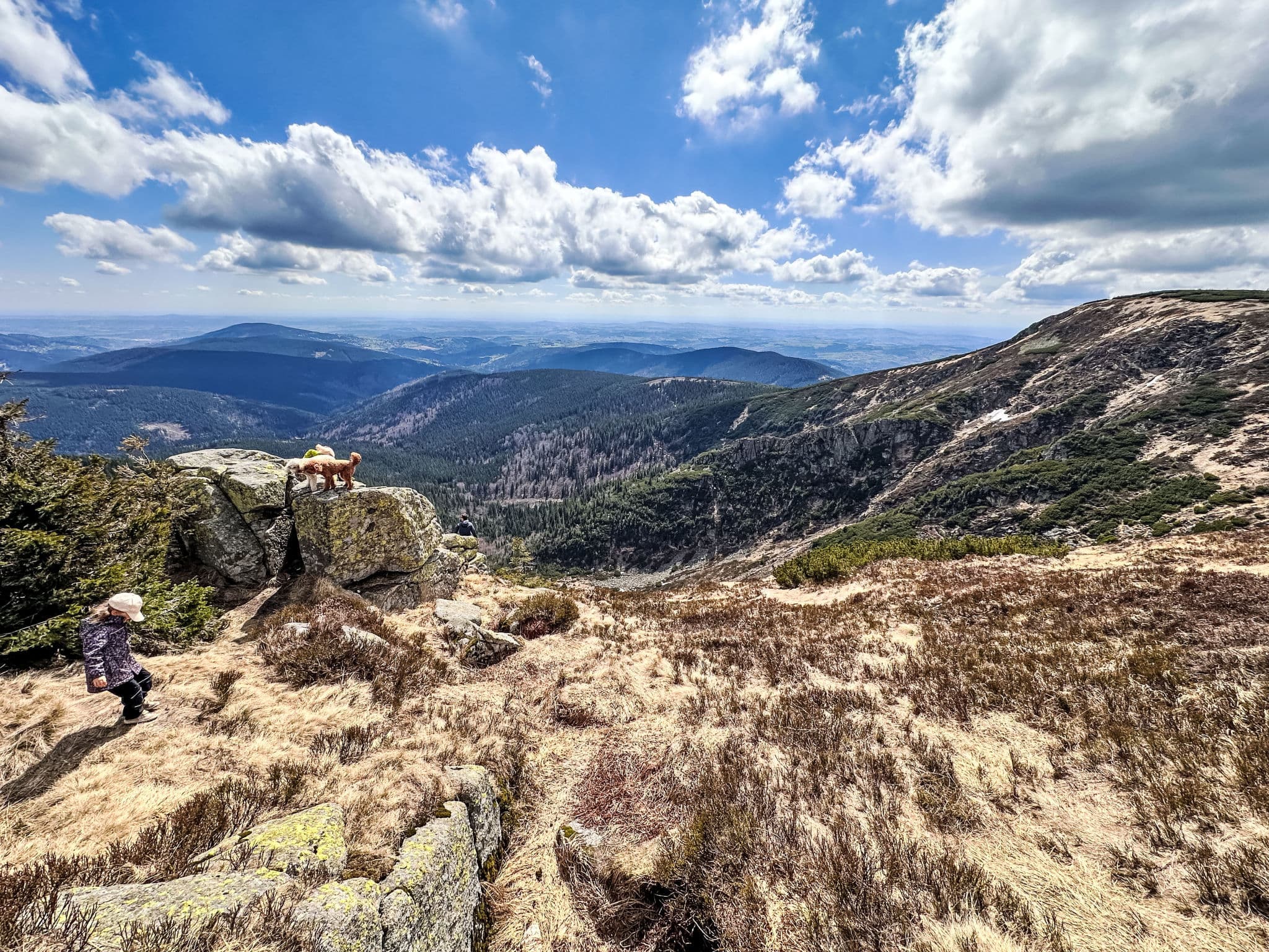 View