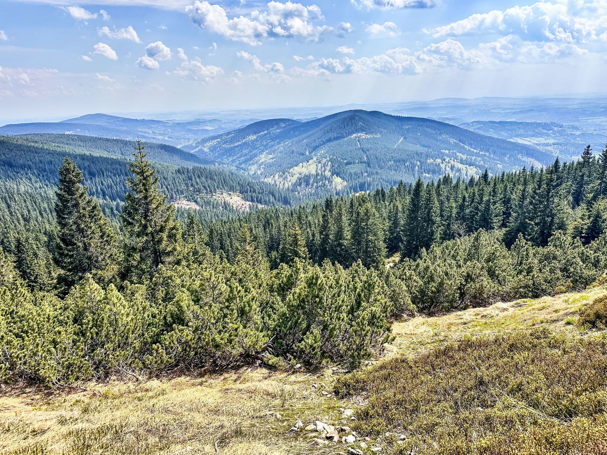 View