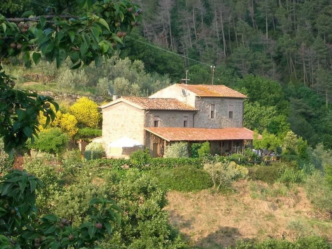 Large Image