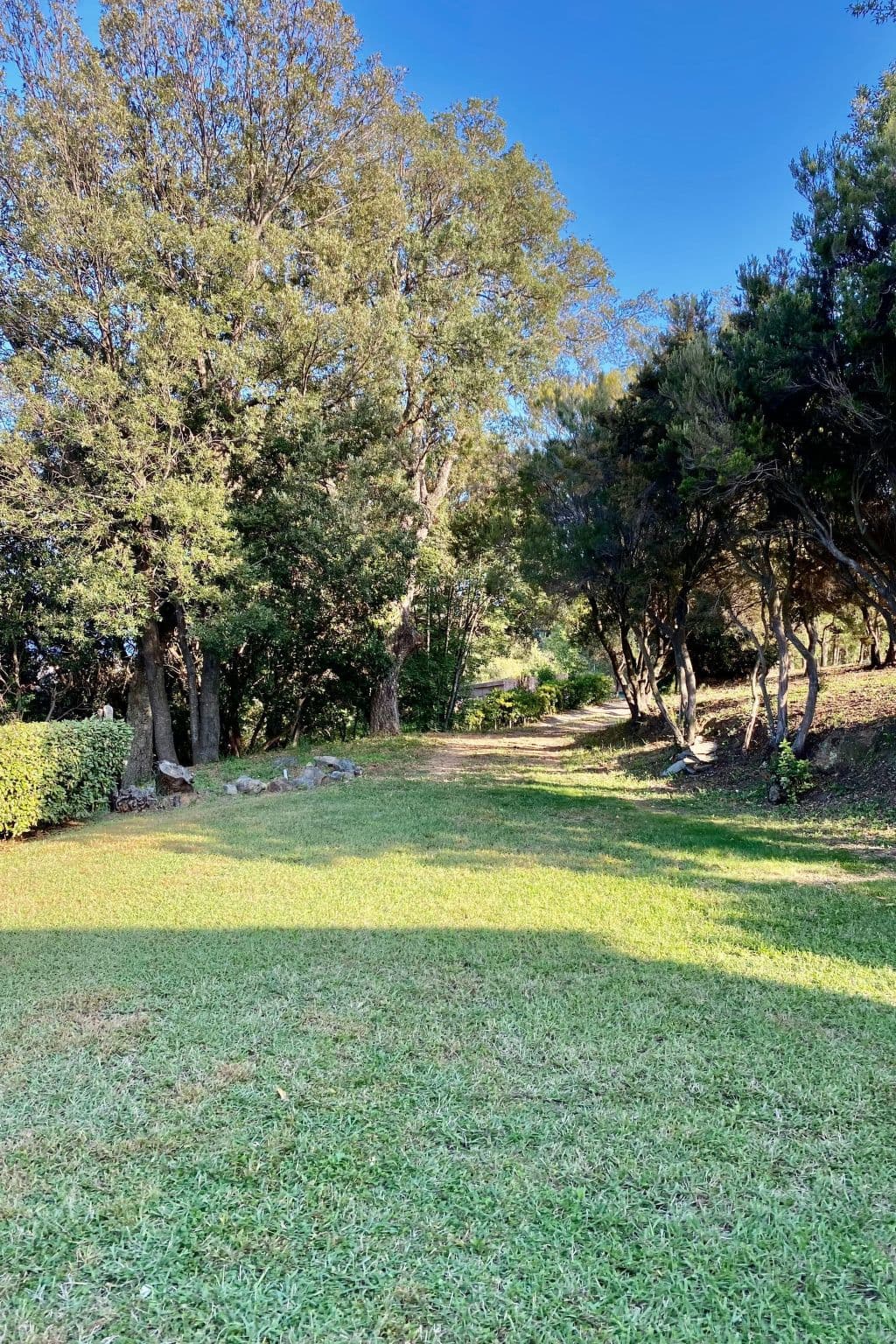 Gallery Image 9