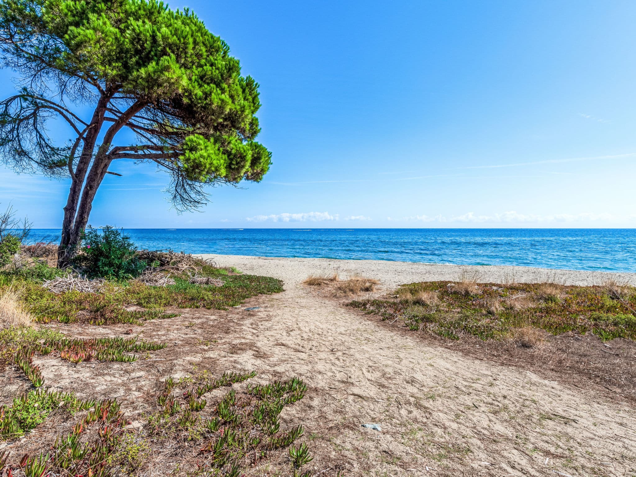 Beach