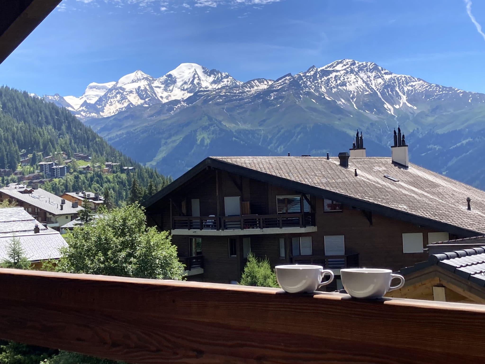 View