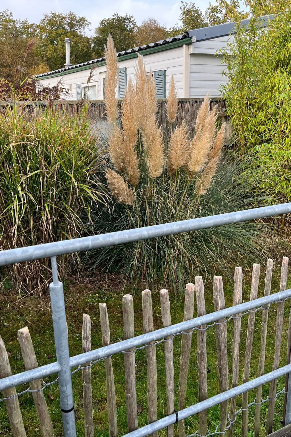 Outdoor