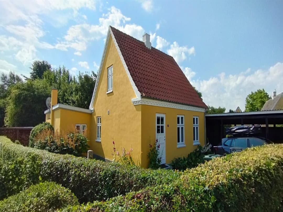Large Image