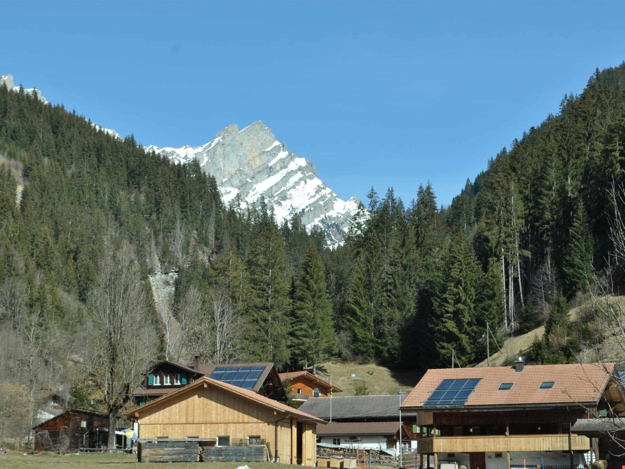 Gallery Image 11