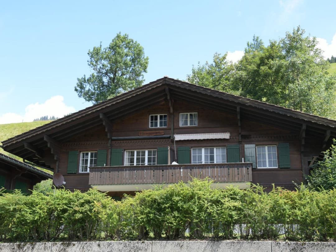 Large Image