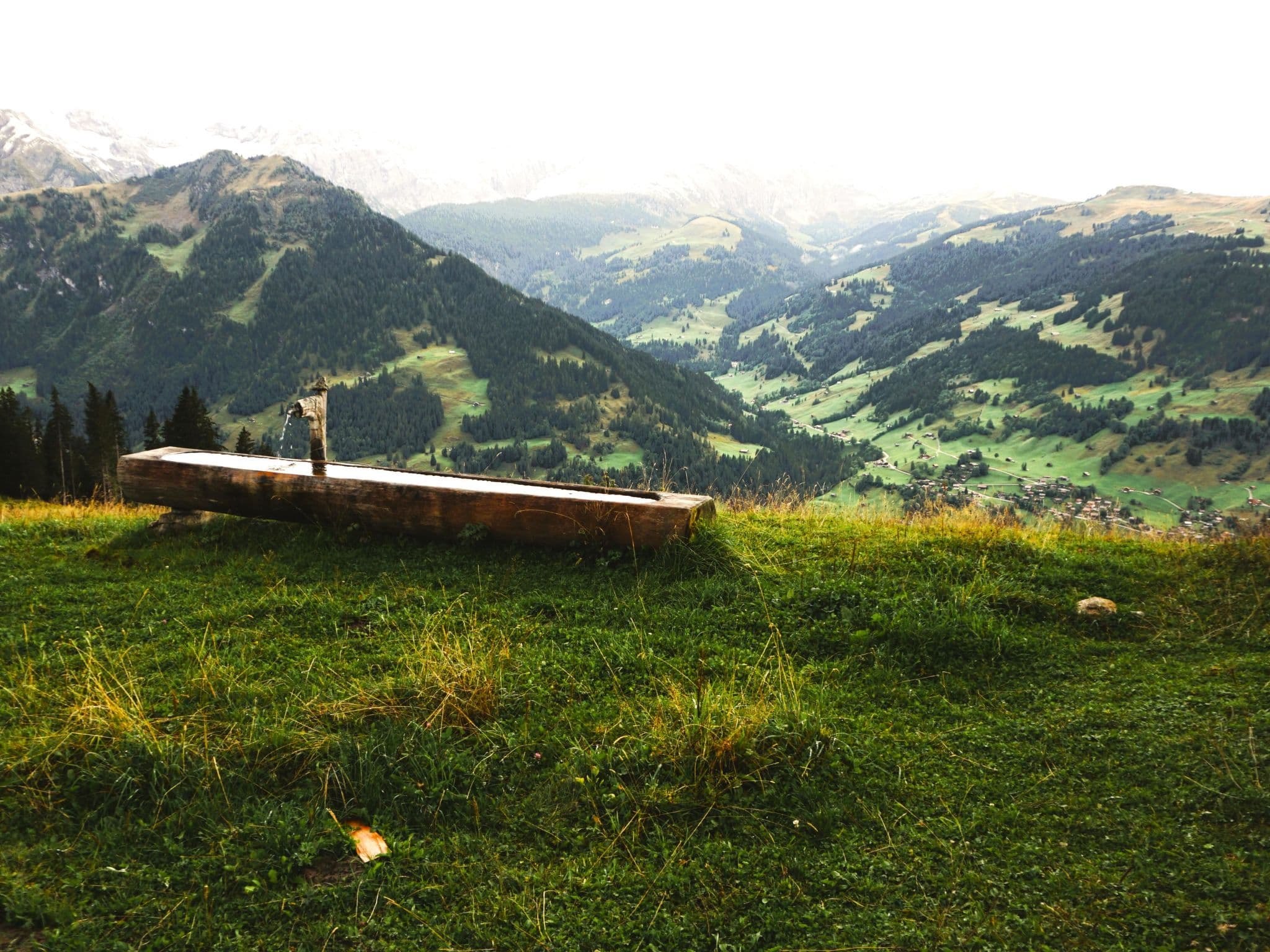 View