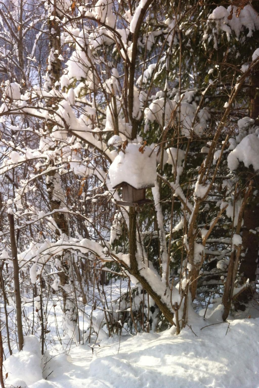 Gallery Image 16