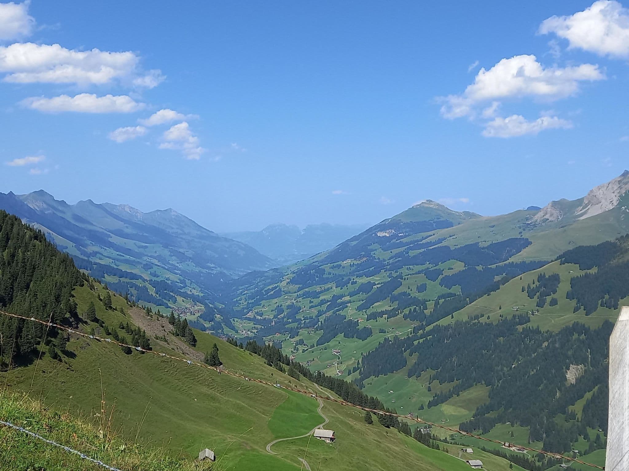 View