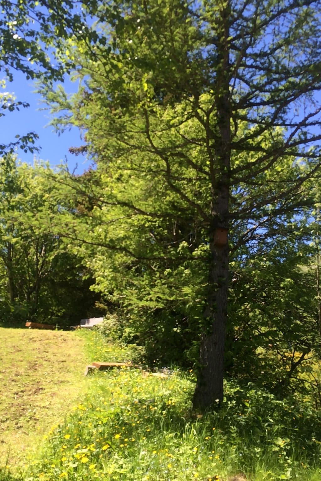 Gallery Image 14