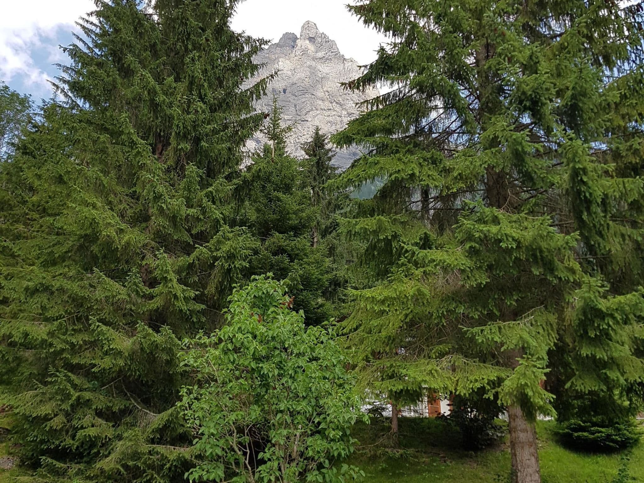 Gallery Image 11