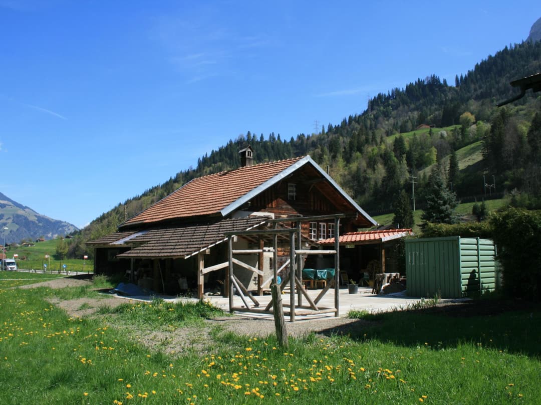 Large Image