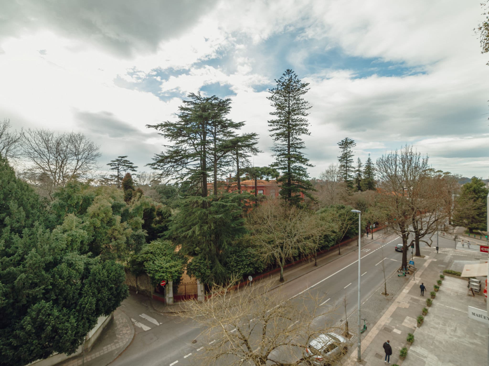 View
