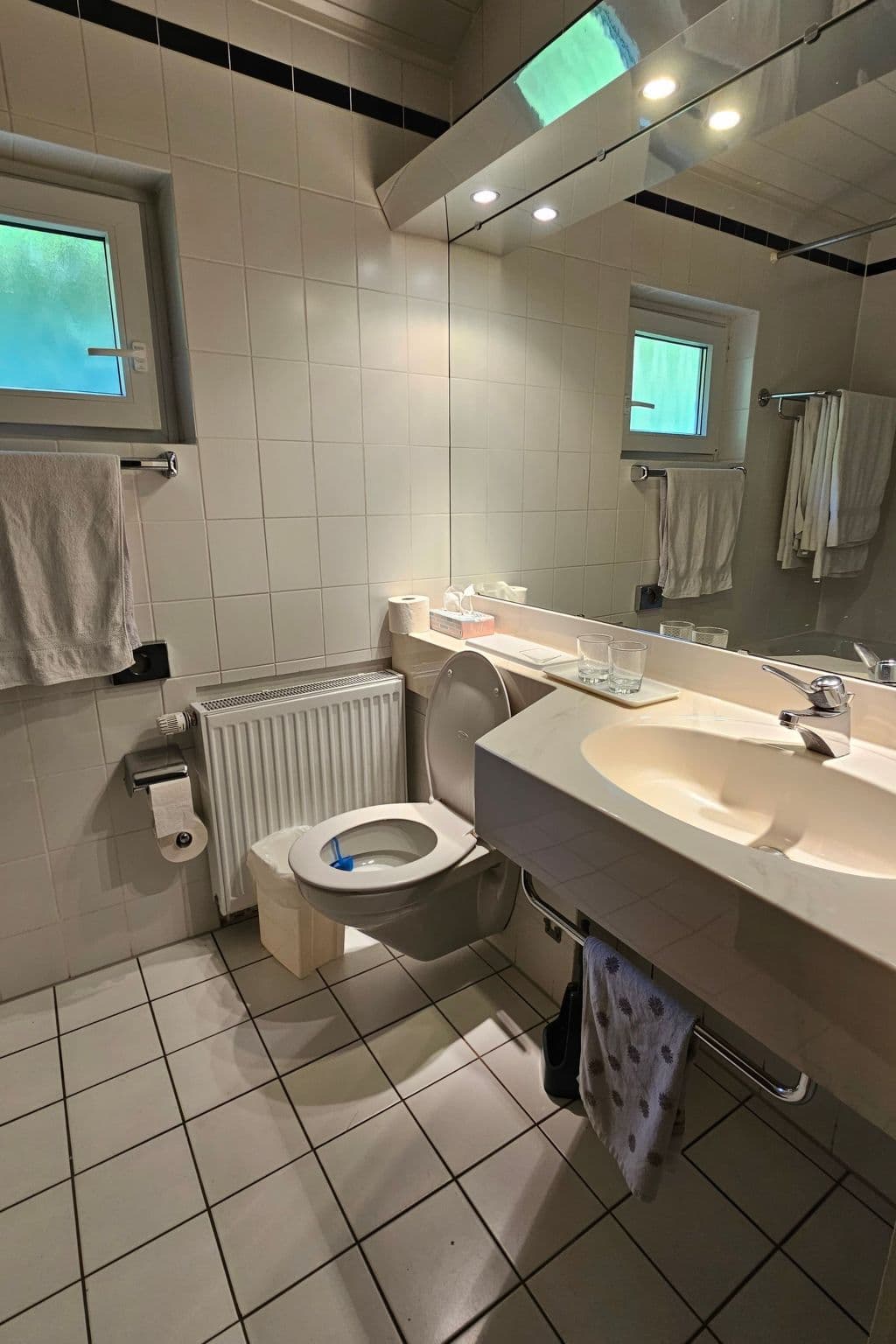 Bathroom / Wellness