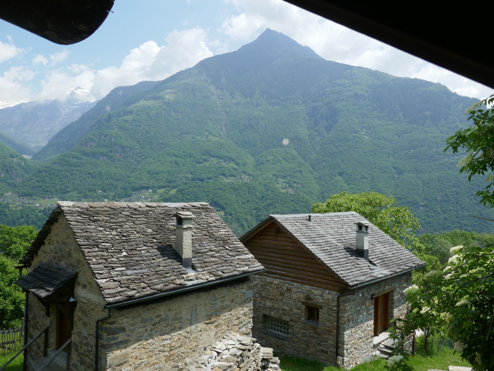 View