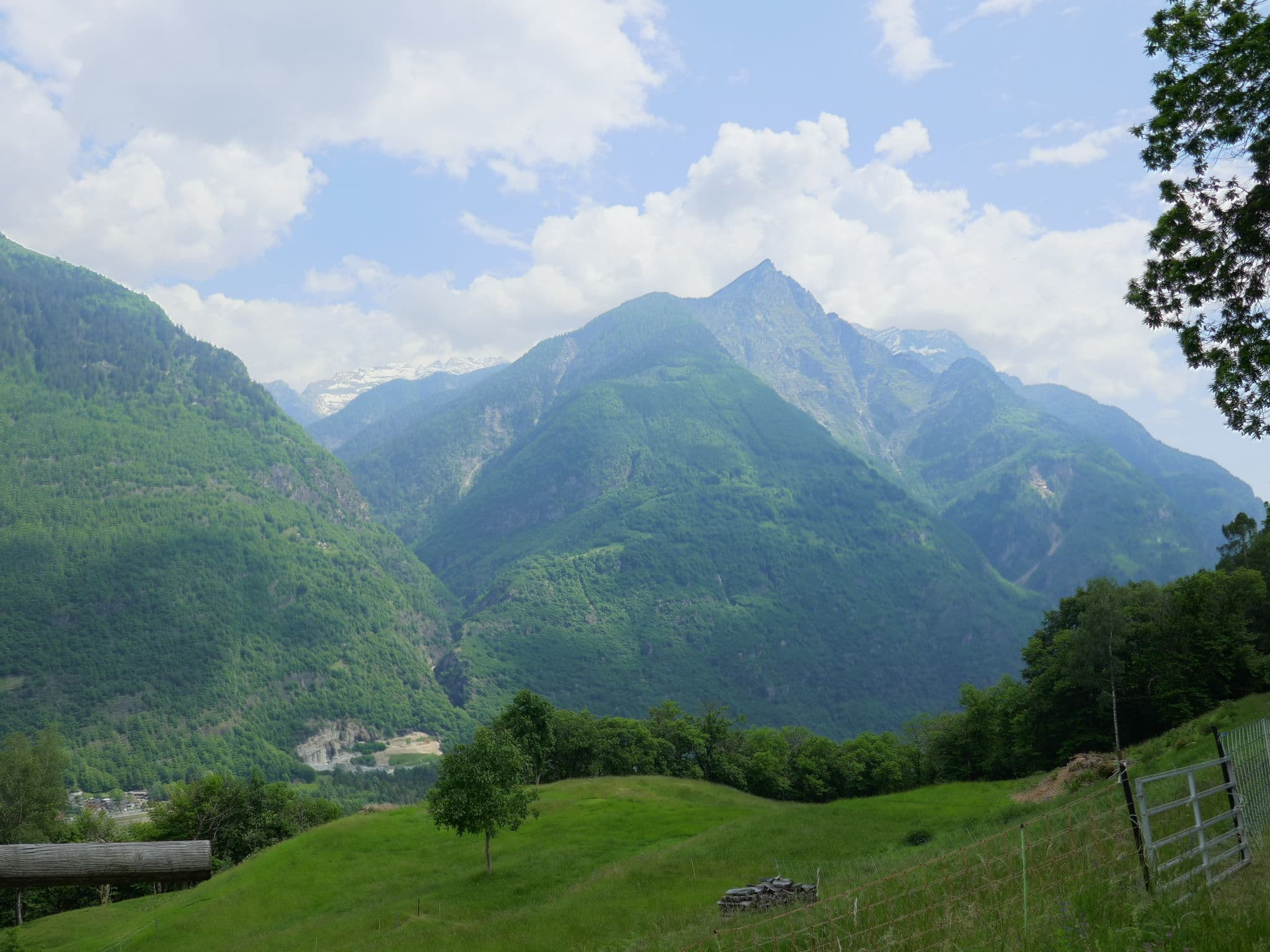 View
