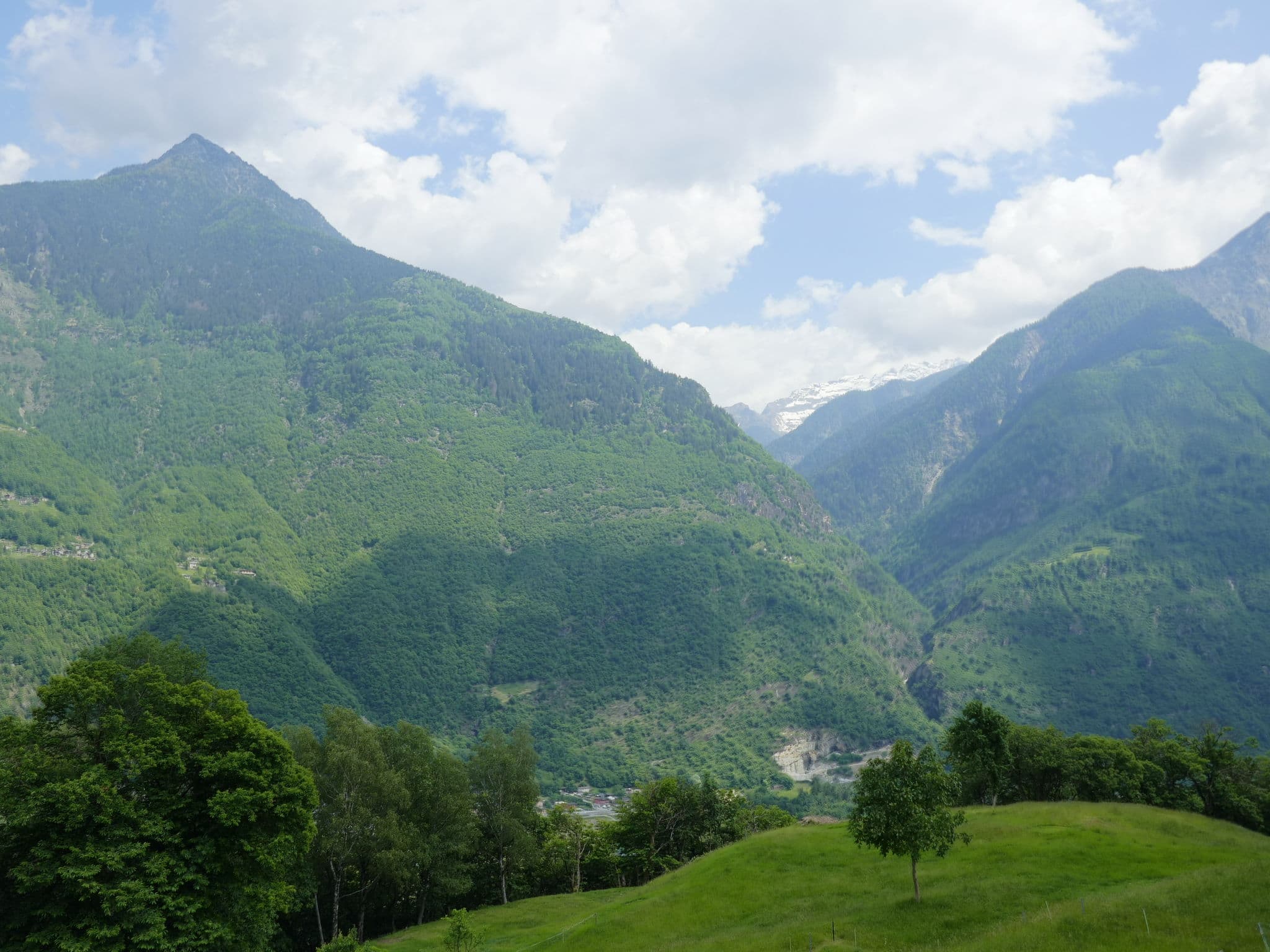 View