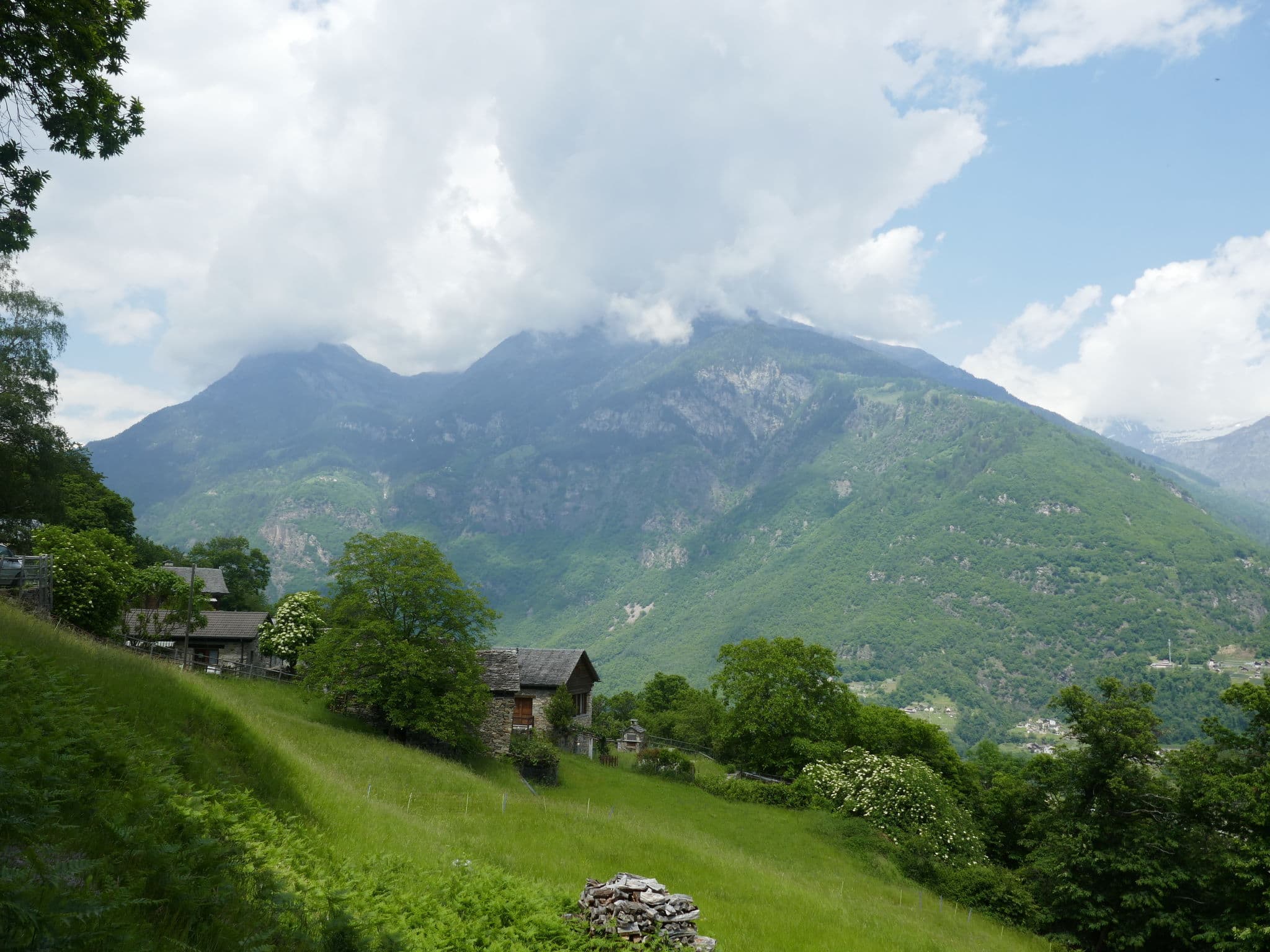 View