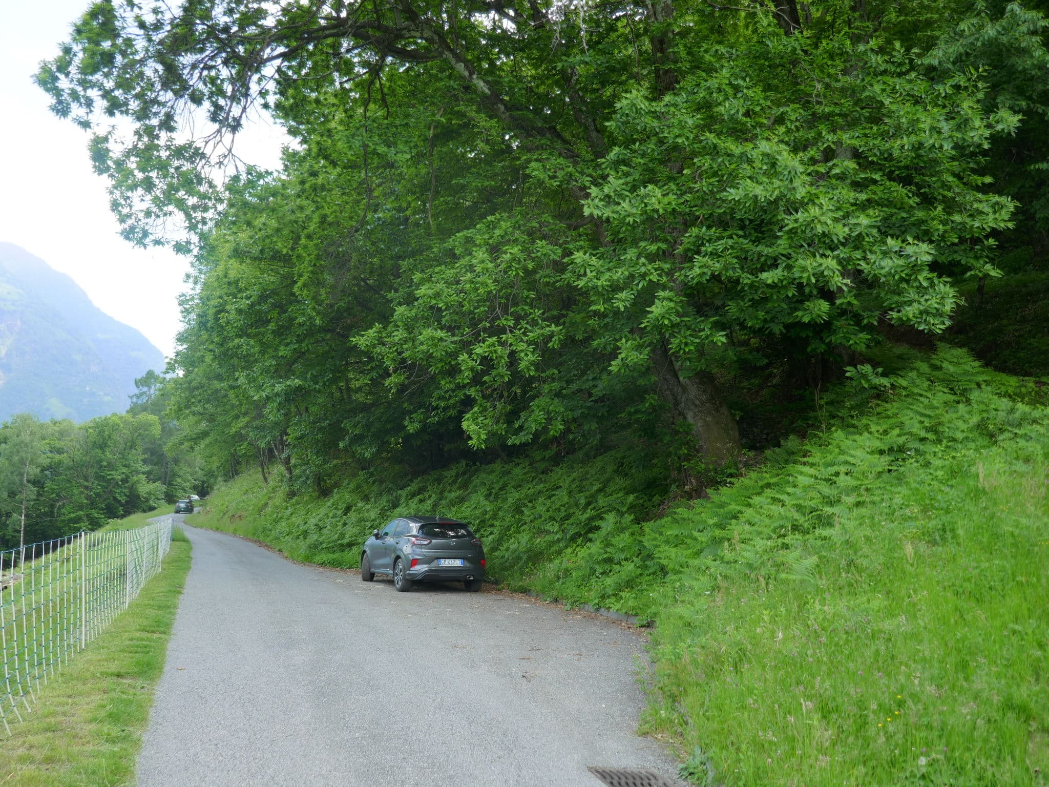 Place