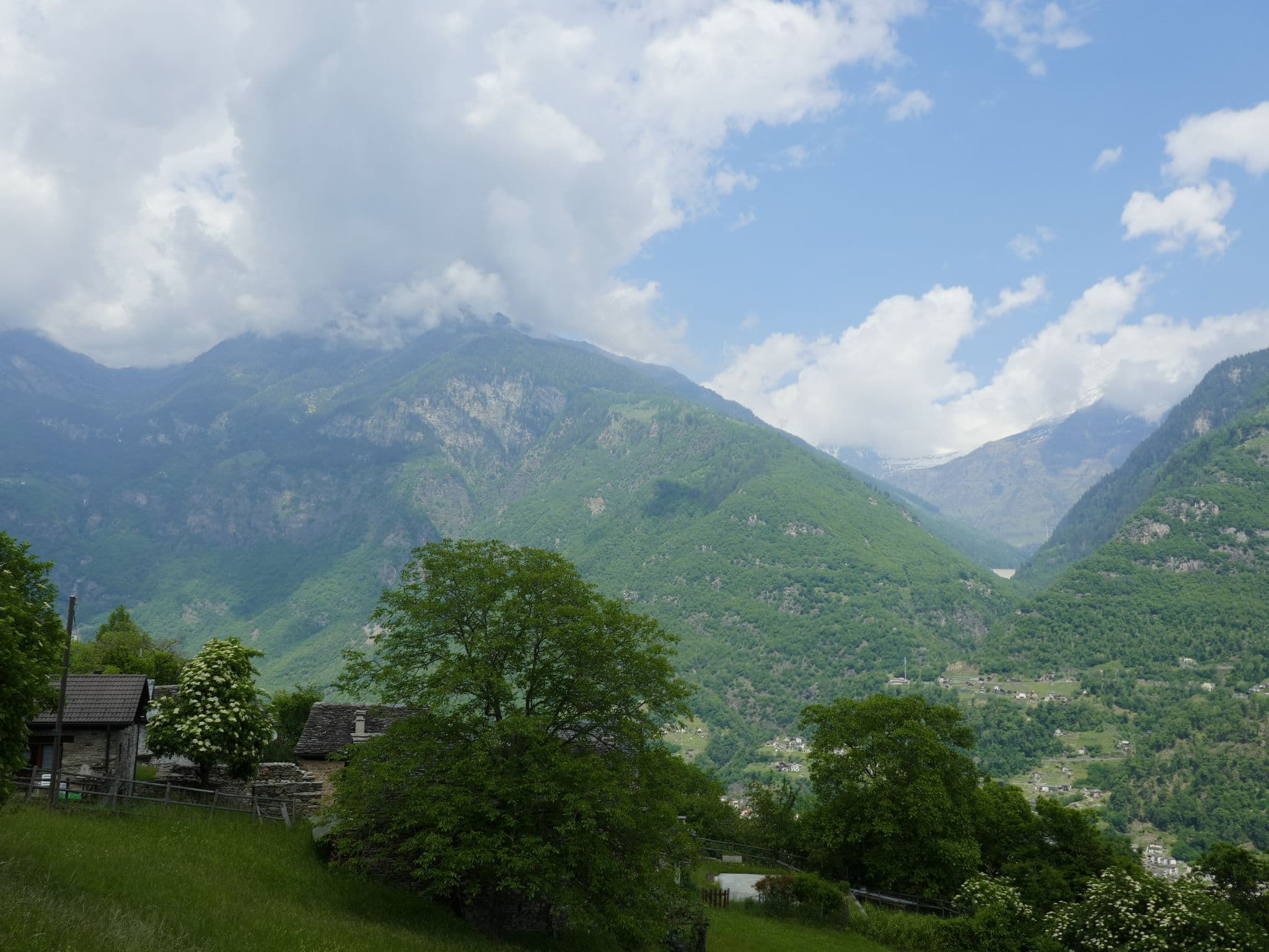 View