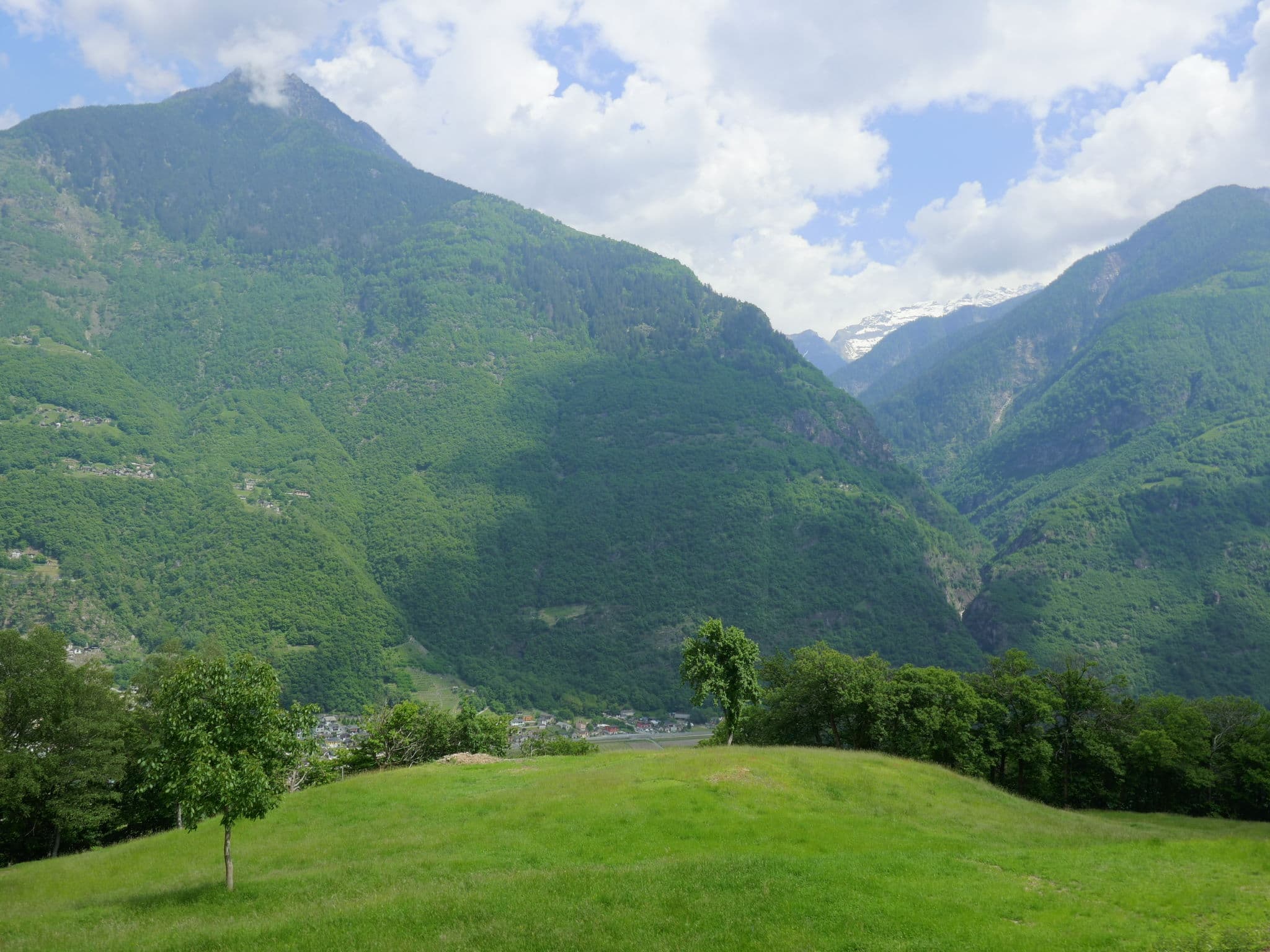 View