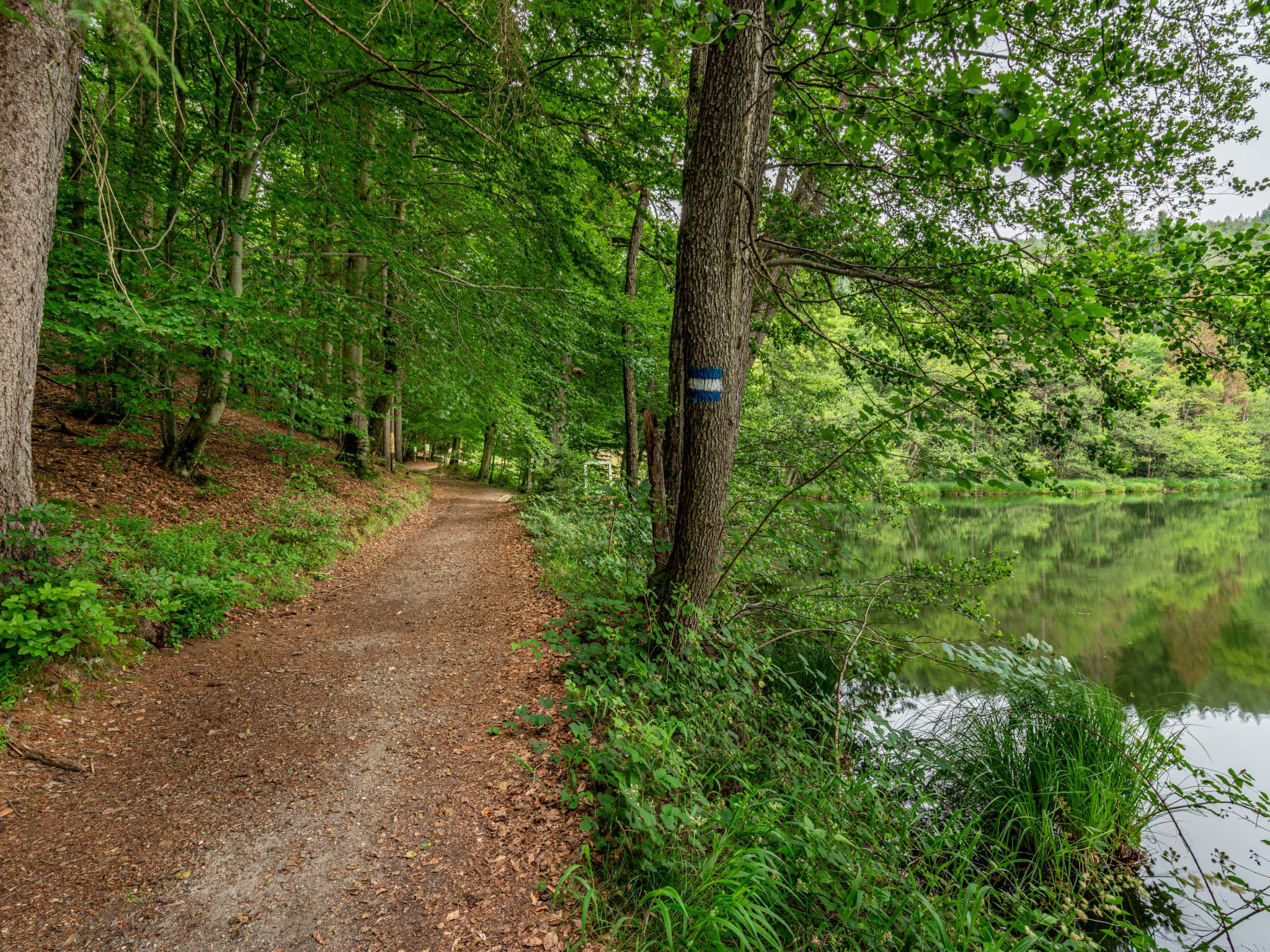 Place