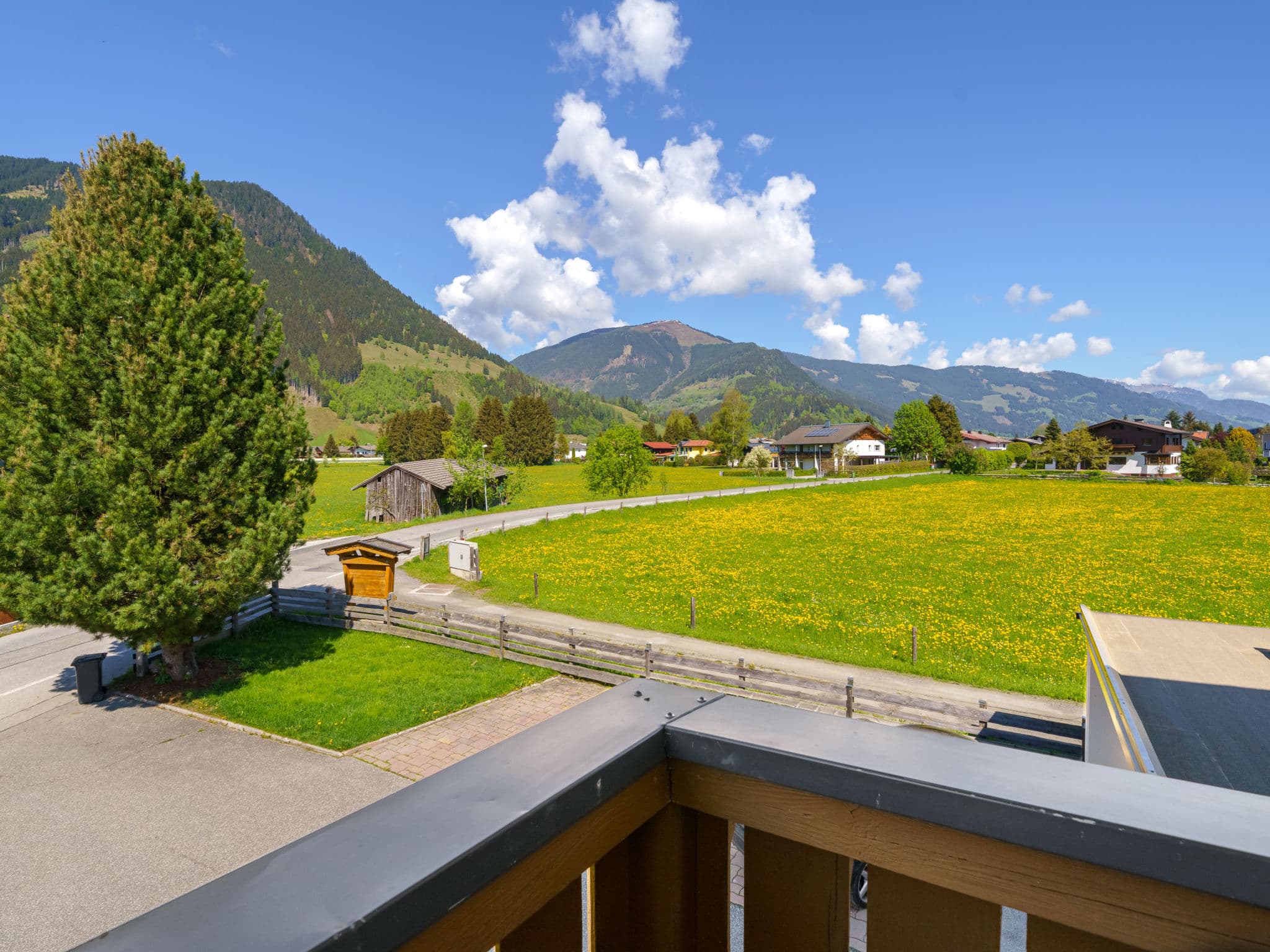View