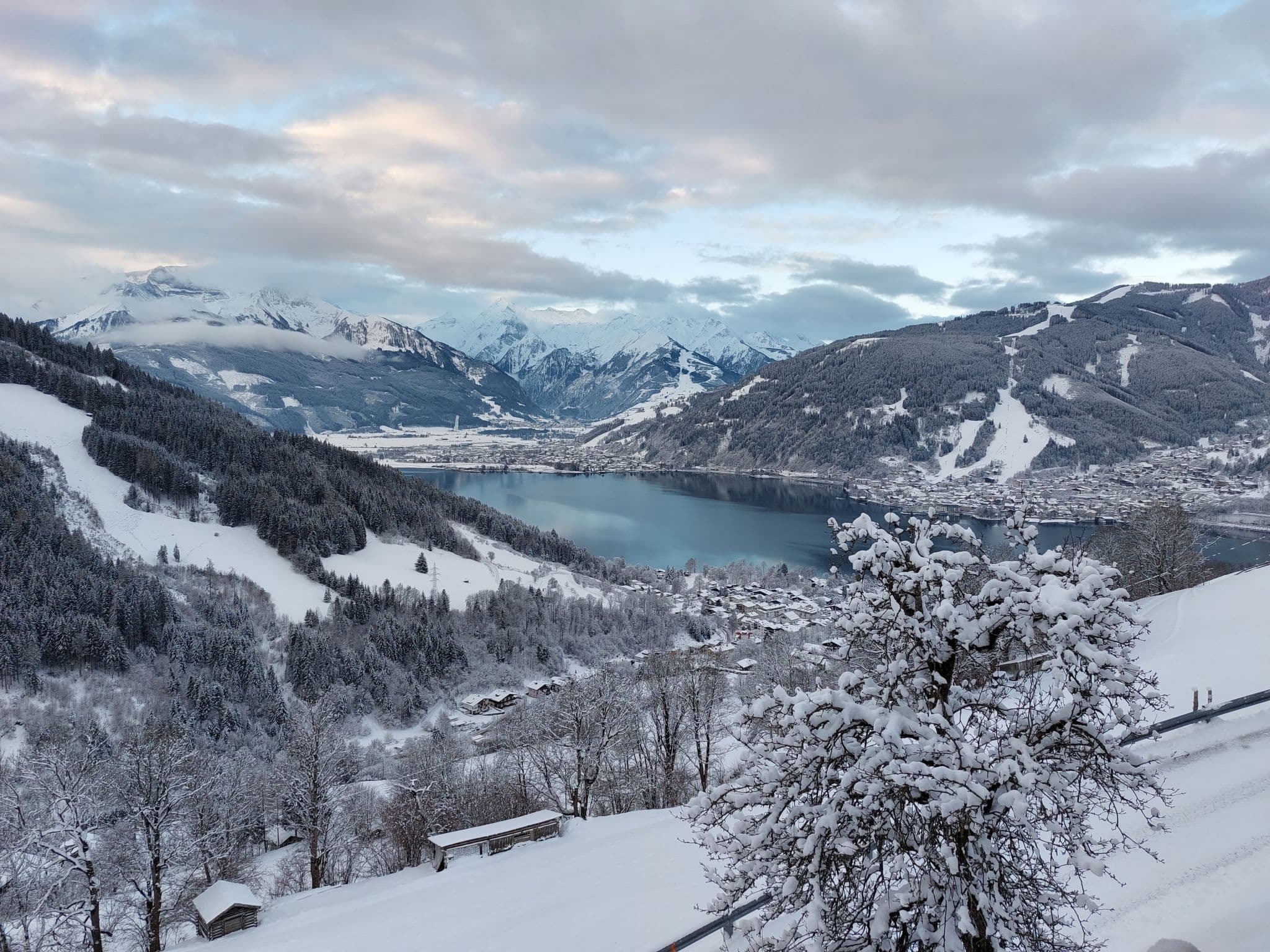 View