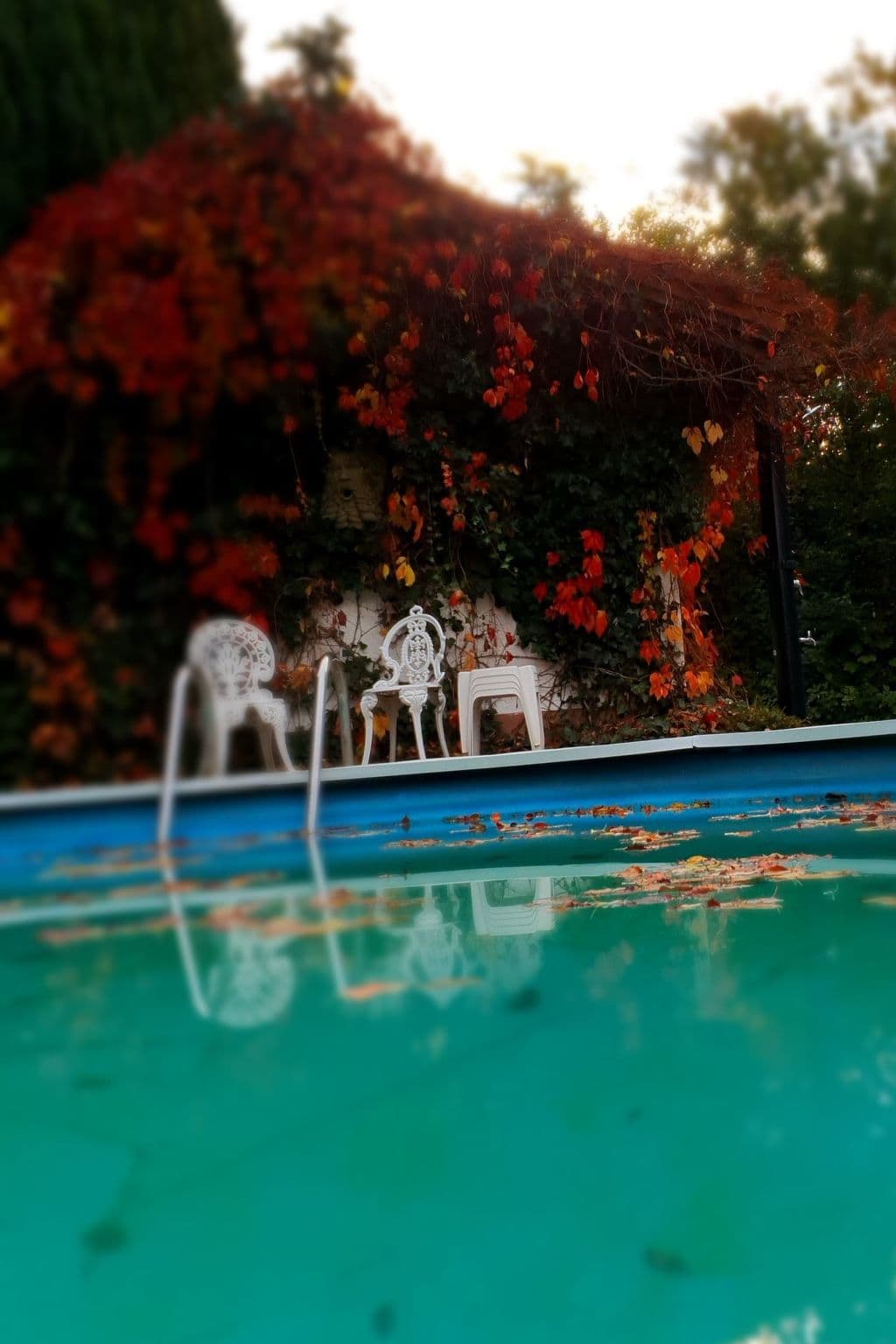 Pool Outdoor