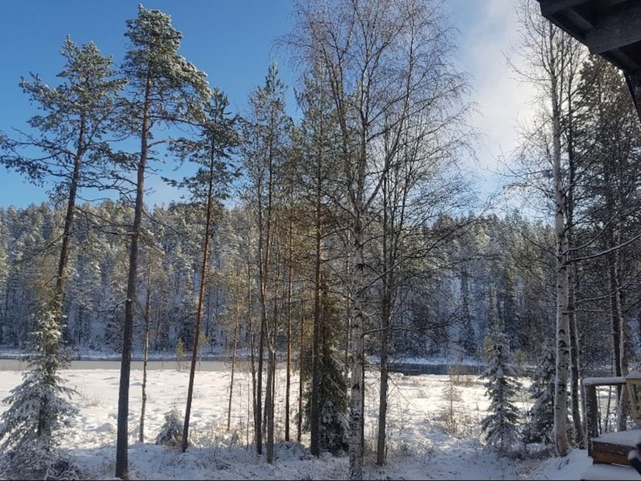 Gallery Image 13