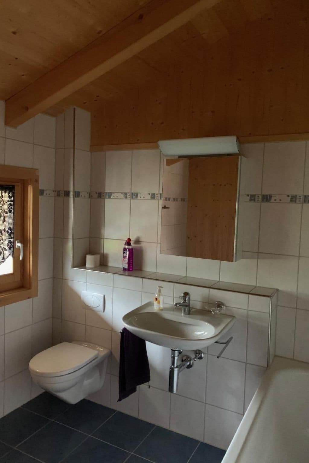 Bathroom / Wellness