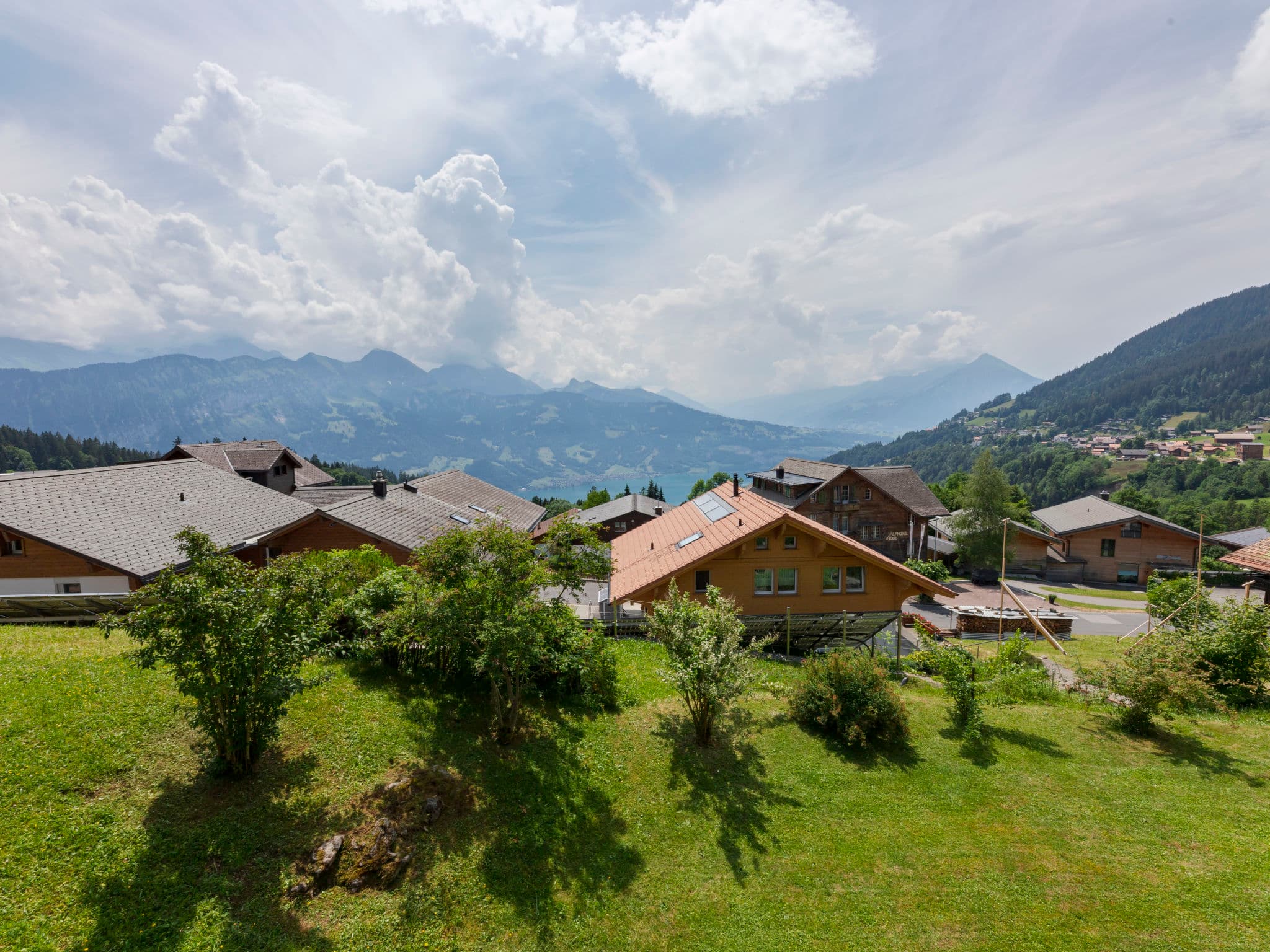 View