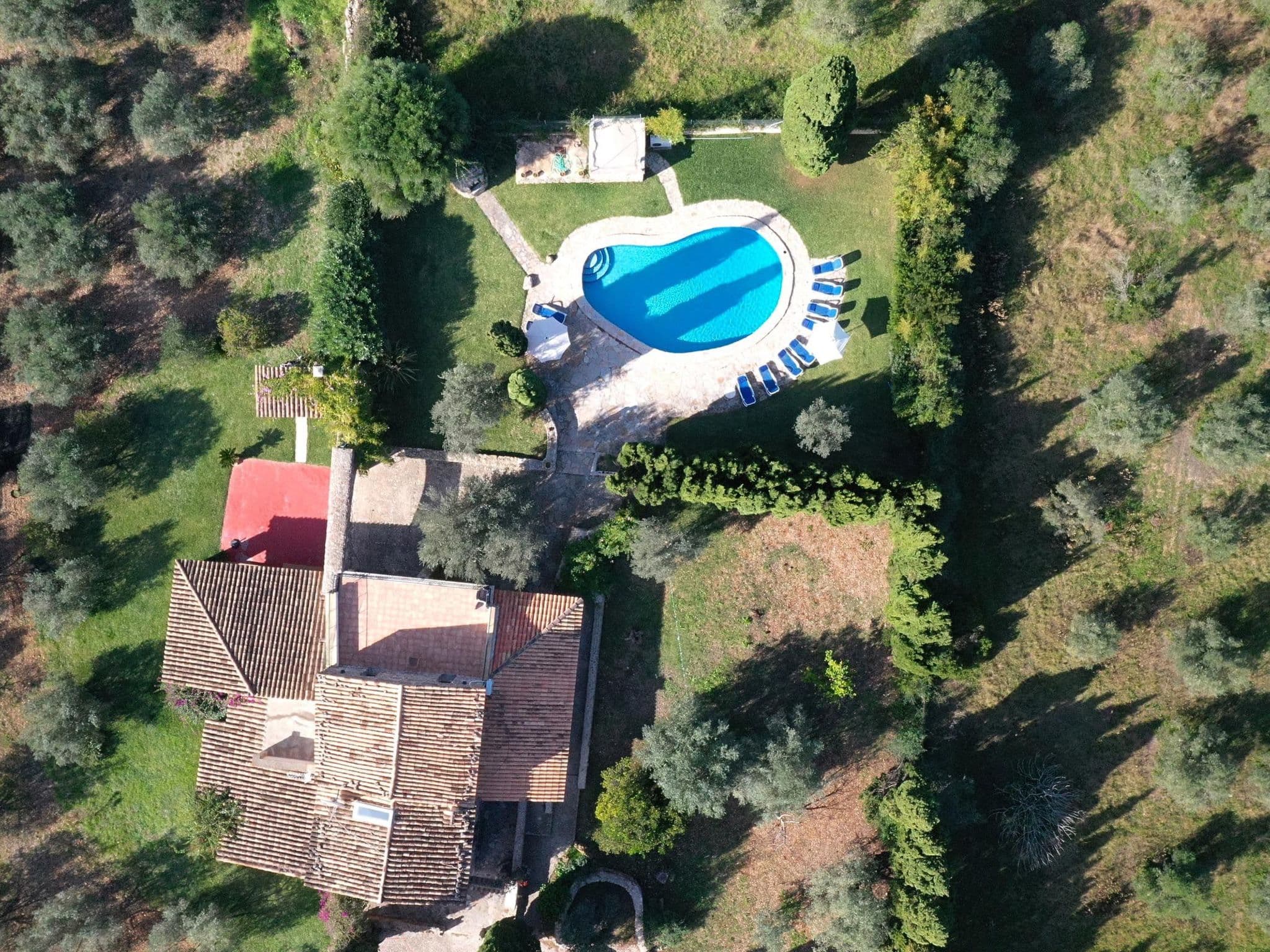 Aerial photography