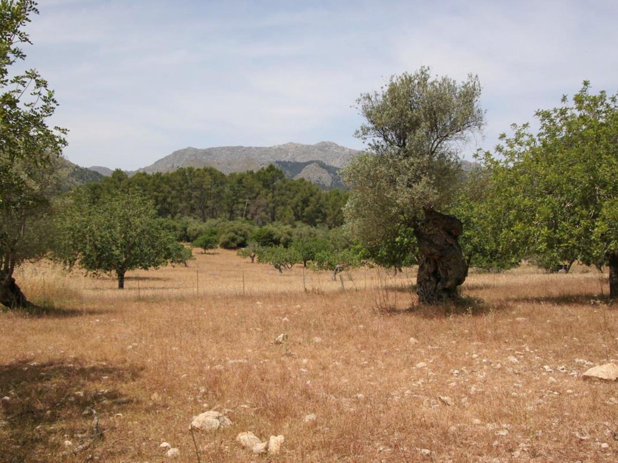 Gallery Image 41
