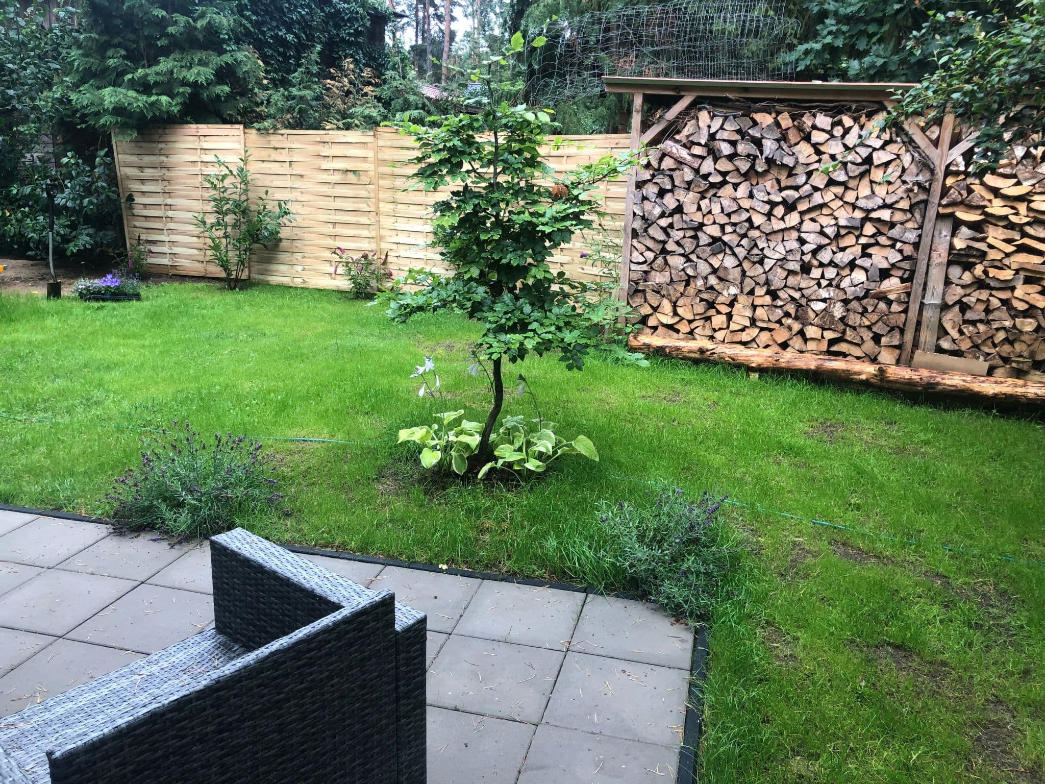 Gallery Image 37